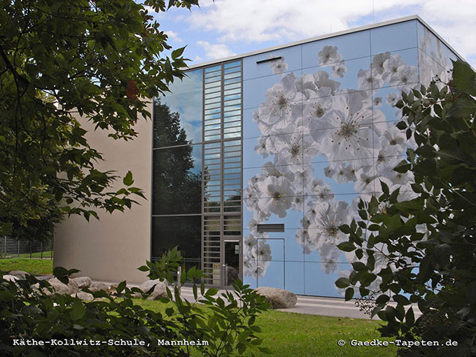 Fassade mit Kirschblüten