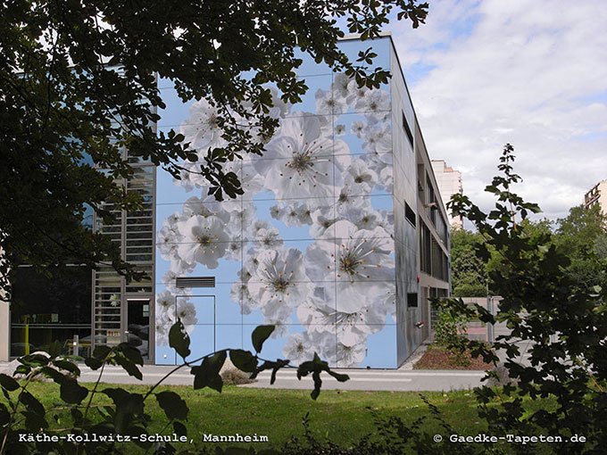 Fassade mit Kirschblüten